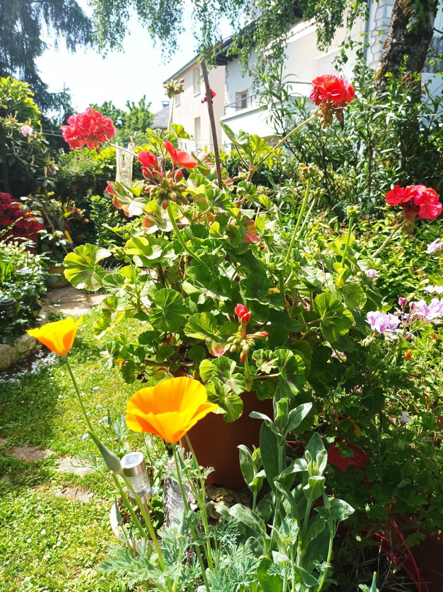 D'hôtes Séjour chez l'habitant